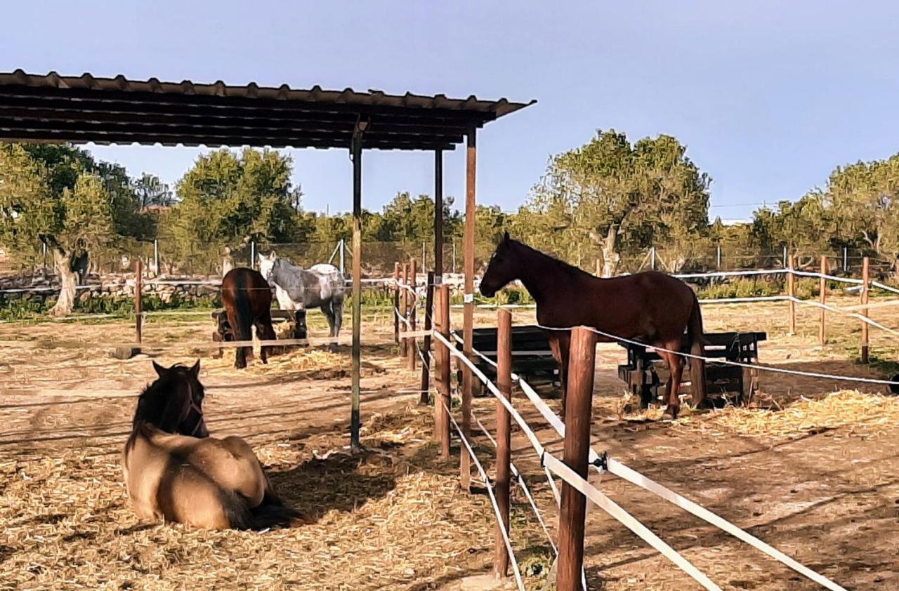 Chalet Vacacional Con Piscina Privada Y Barbacoa タラゴナ エクステリア 写真